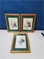 Group of three Botanical prints 5x7 in vintage