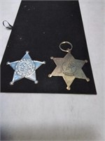 Group of two decorative police badges Texas
