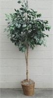 Artificial Ficus Tree. Trunk is A Real Wood Branch