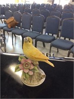 Canary by Andrea