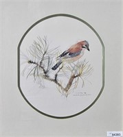 Offset Lithograph Depicting Bird on Branch
