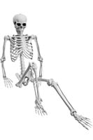 Five foot plastic skeleton Halloween decor