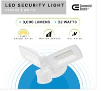LED security light