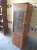Vintage Enclosed Bookcase