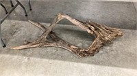 Driftwood 44 inches long