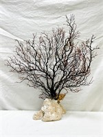 Coral Tree, approx 21.5x20.5, 12.51mm