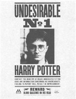 Harry Potter Undesirable Flyer Prop Print