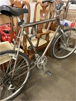 20 Inch 15 Speed Bicycle