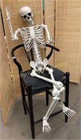 Adjustable Skeleton 60”