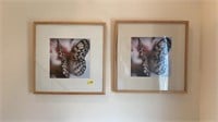 2 PC  WOOD FRAMED INLAYED BUTTERFLY ART