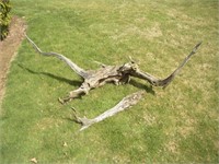 6ft long Piece of Driftwood
