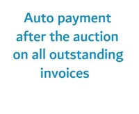 Auto Payment Right After the Auction