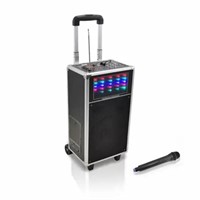 Portable PA Speaker System with Flashing DJ Lights