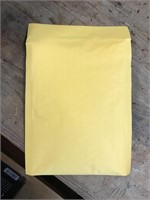 (10xbid) 9x5 Padded Envelope
