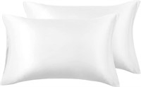 NEW 2pk (12x20") Pillow Inserts