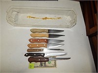 Assorted Kitchen Knives in Plastic Tray