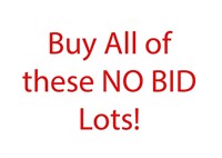 Buy the All the Lots w No Bids (Bid in lot #900)
