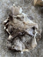 (3) TANNED WHITE TAIL PELTS