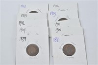 (10) 1897-1907 Indian Head Pennies
