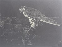 Limited Edition Prairie Falcon By Mel Dobson