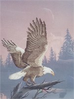 Bald Eagle Taking Flight Needlework