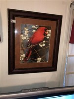 (2) Framed Bird Prints