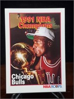 1991 MICHAEL JORDAN CHICAGO BULLS NBA CHAMPS Card