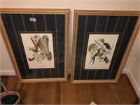 Pr of Bird Decorator Pictures (26" W x 34" T)