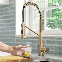 Kraus 2-in-1 Pull-Down Filter Kitchen Faucet