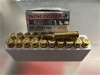 20 - Winchester 22-250 55gr. Ammo