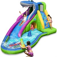 ACTION AIR Inflatable Water Slide