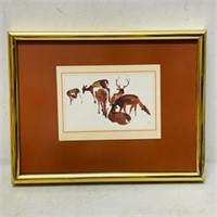 Watercolour of Deer in Glass and Frame 13" x 10"