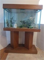 +Dry Aquarium from Brazil w/Wood Bottom-lighted