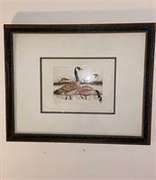 Antique framed Goose engraving , signed &