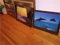 3 Famed Dolphin Posters