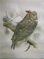 M. G. Loates "Great Horned Owl" Print