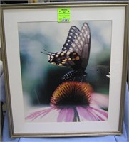 High quality butterfly and flower print