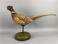 Mike Borrett Ring-Necked Rooster Pheasant