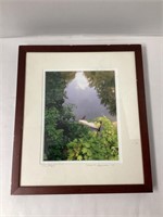 "The Pond" Framed Photo by Carole Dennison