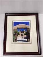 New Mexico Framed Photo by Carole Dennison