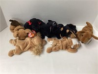 Eight Beanie Babies - Dogs