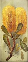 Zdeny Stodulka (1917-2009) Banksia