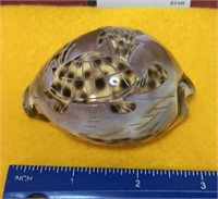 Decorative Seashell with turtle