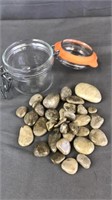 Petoskey & More Stone Specimens In Display Jar