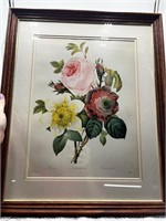 Rose Anemone Clematis Flower Art Print
