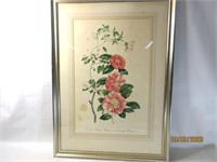 60'S Framed Water Color 36"x26.5"