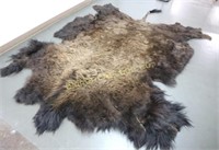 Large Tanned Buffalo Hide/ Rug