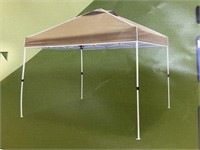 Everest 10' x 10' Instant Canopy