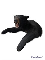 LOT#22) BLACK BEAR MOUNT
