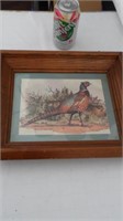 Unsigned Pheasant Print in Wood Frame